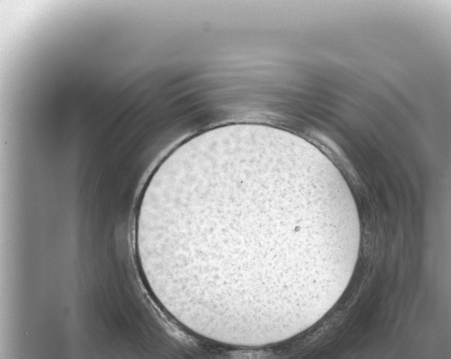 X0000068270804200605051813