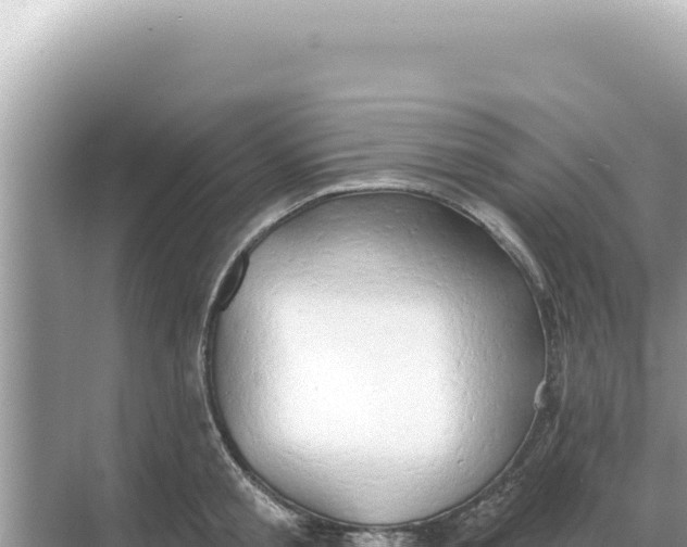 X0000068270805200605051813