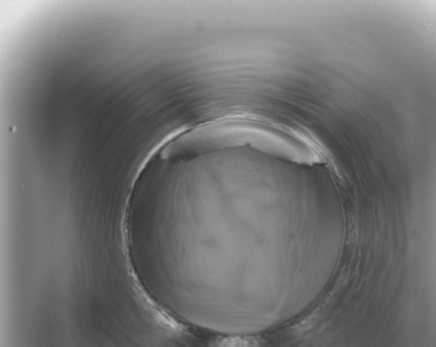 X0000068270806200605051813