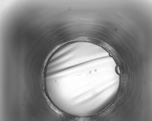 X0000068270808200605051813