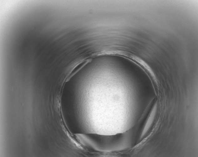 X0000068270809200605051813