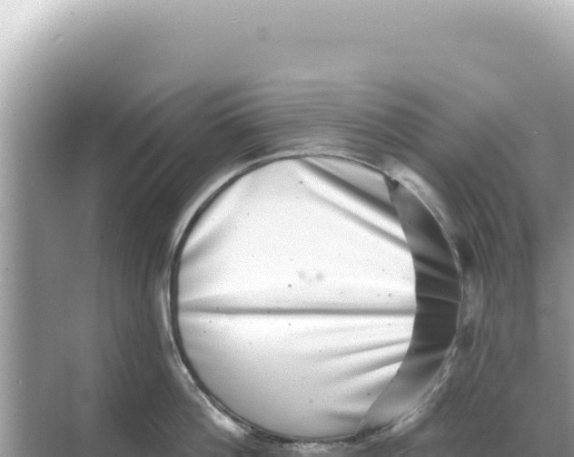 X0000068270812200605051813