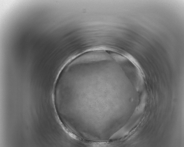 X0000068270813200605051813