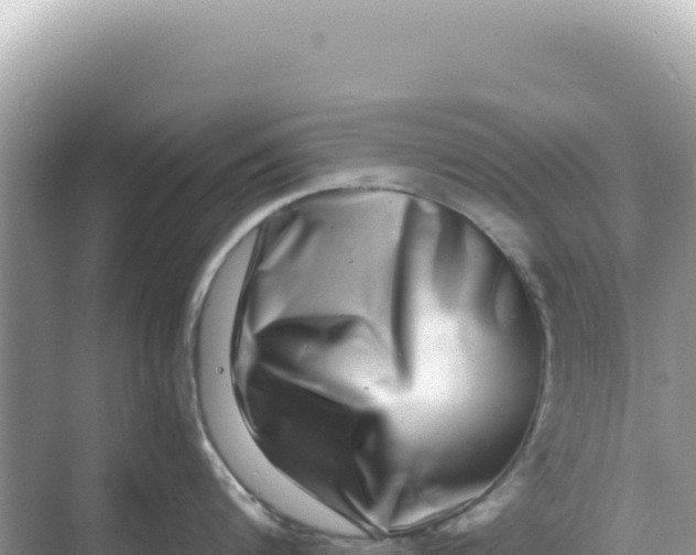 X0000068270816200605051813