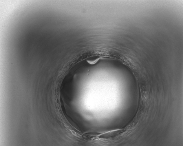 X0000068270817200605051812