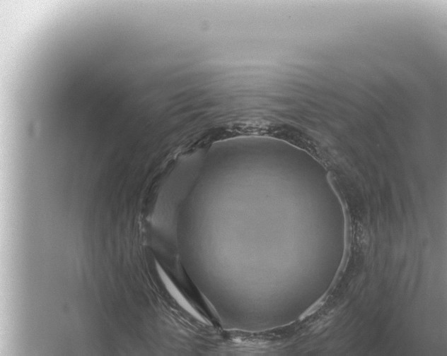 X0000068270818200605051812