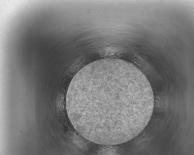 X0000068270820200605051812