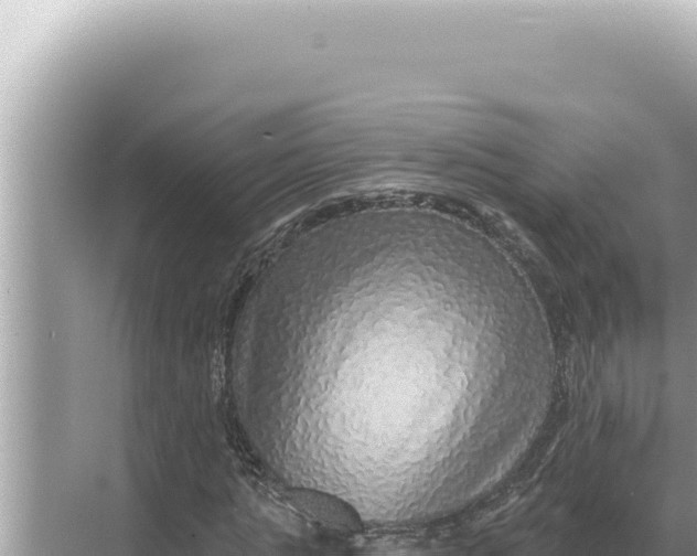 X0000068270821200605051812