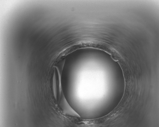 X0000068270822200605051812