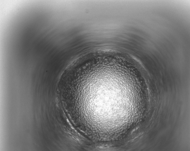 X0000068270823200605051812