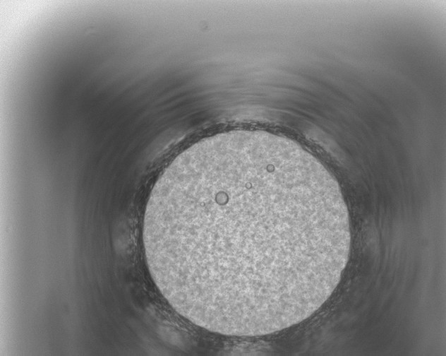 X0000068270824200605051812