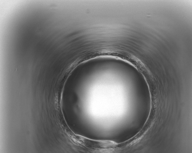 X0000068270825200605051812