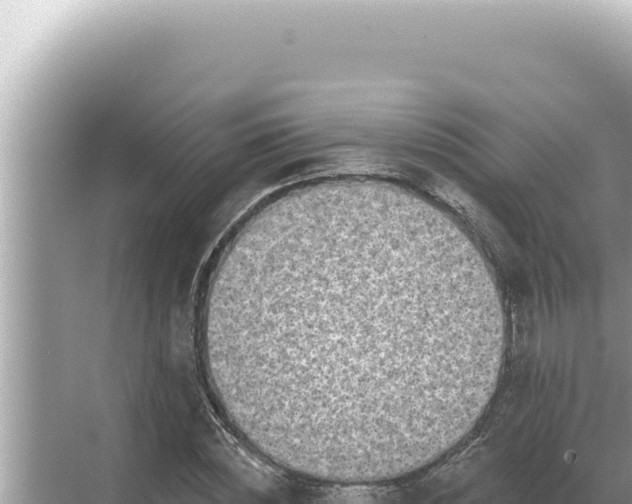 X0000068270828200605051813