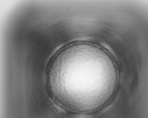 X0000068270829200605051813