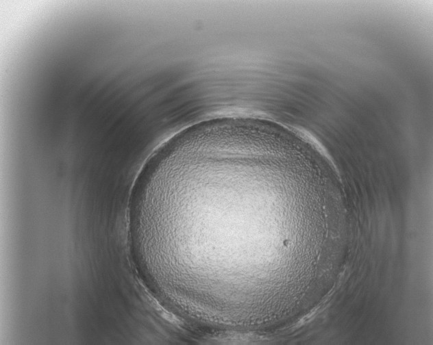 X0000068270831200605051813