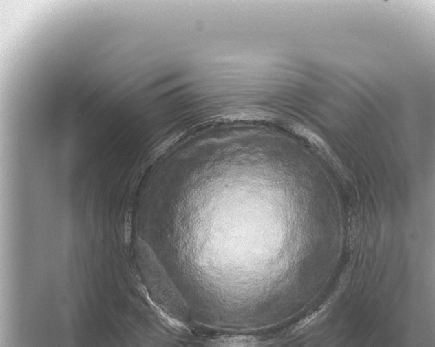 X0000068270833200605051813