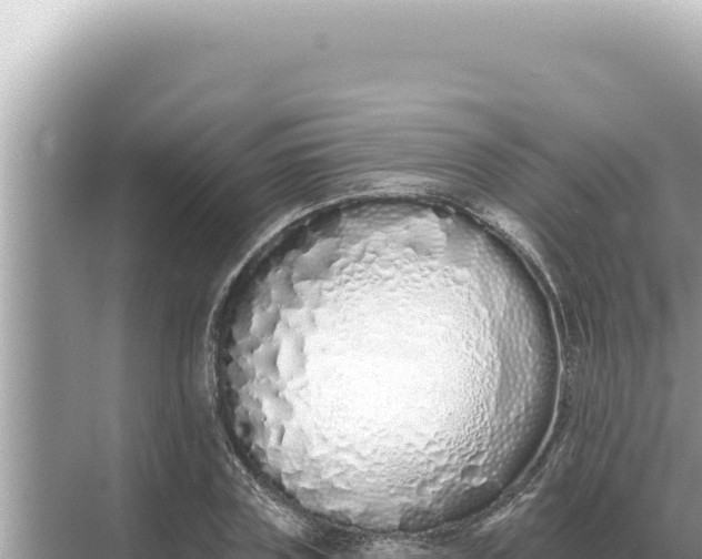 X0000068270835200605051813