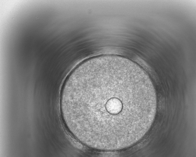 X0000068270836200605051813