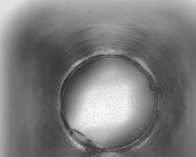 X0000068270837200605051813