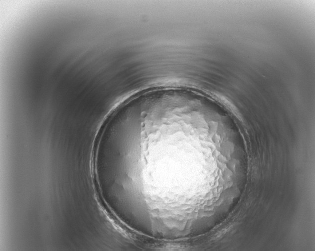 X0000068270839200605051813