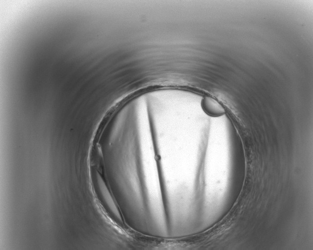 X0000068270840200605051813