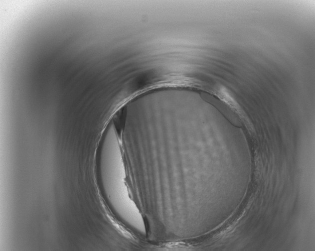 X0000068270842200605051813