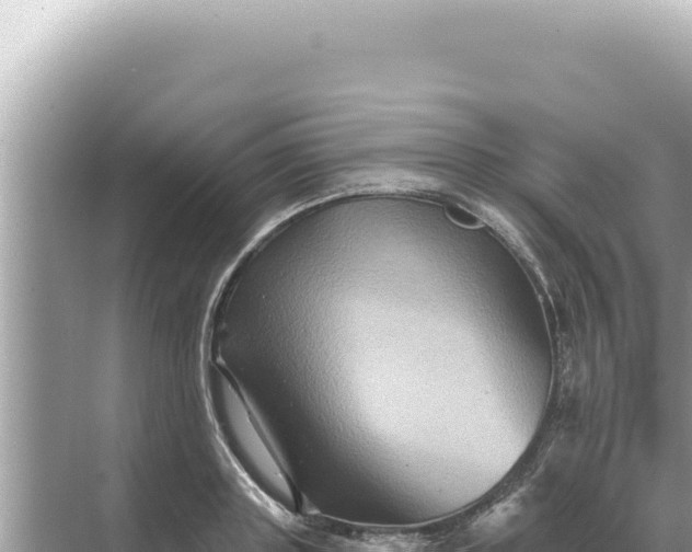 X0000068270843200605051813