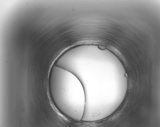 X0000068270844200605051813