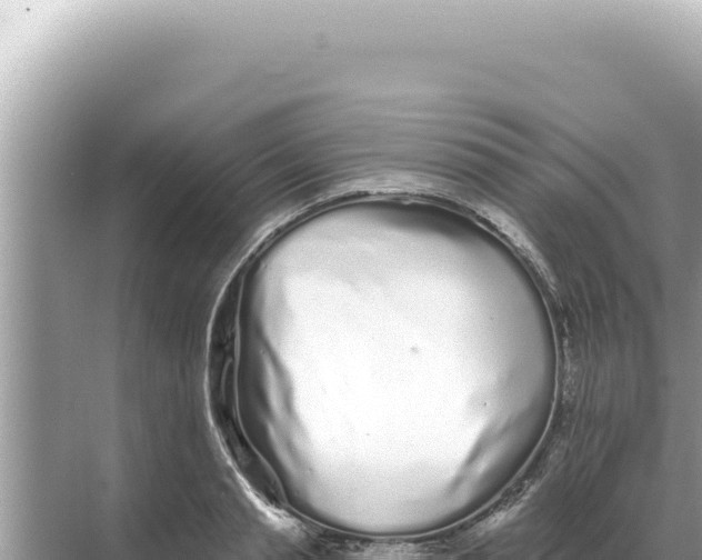 X0000068270845200605051813