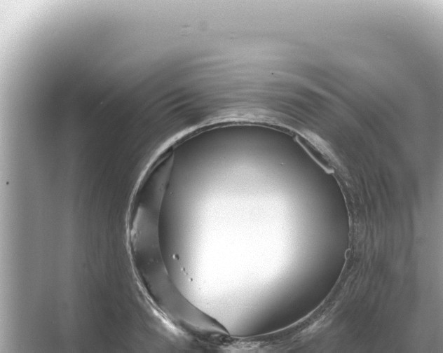 X0000068270846200605051813