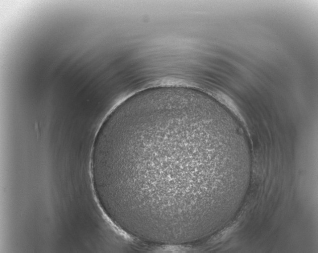 X0000068270847200605051813