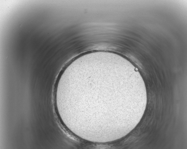 X0000068270848200605051813