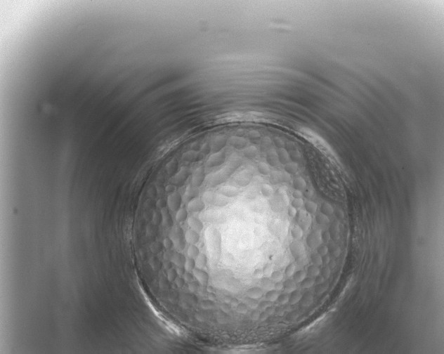 X0000068270849200605051813