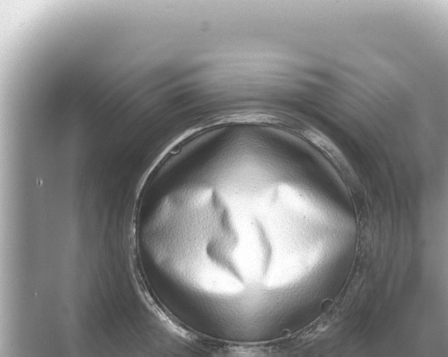 X0000068270852200605051813