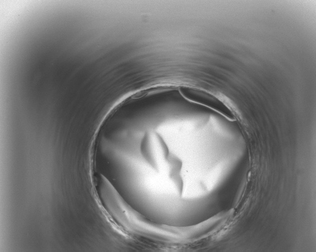 X0000068270854200605051813