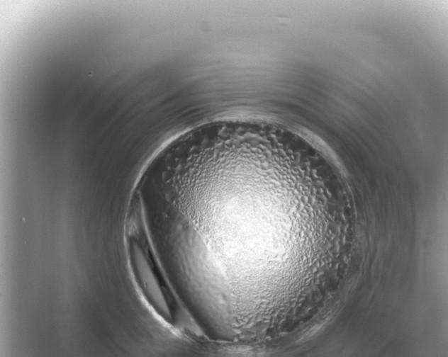 X0000068270855200605051813