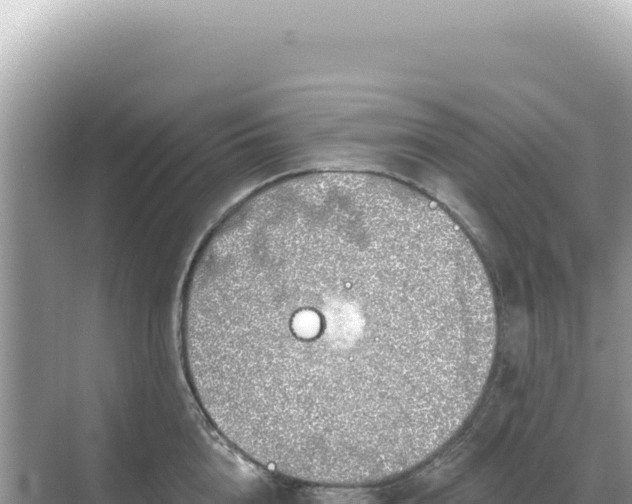 X0000068270856200605051813