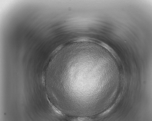 X0000068270857200605051813