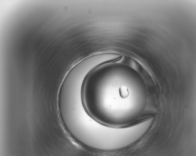 X0000068270858200605051813