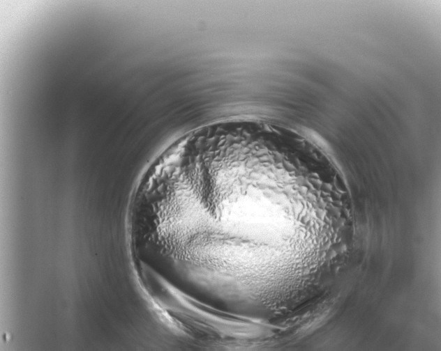 X0000068270859200605051813