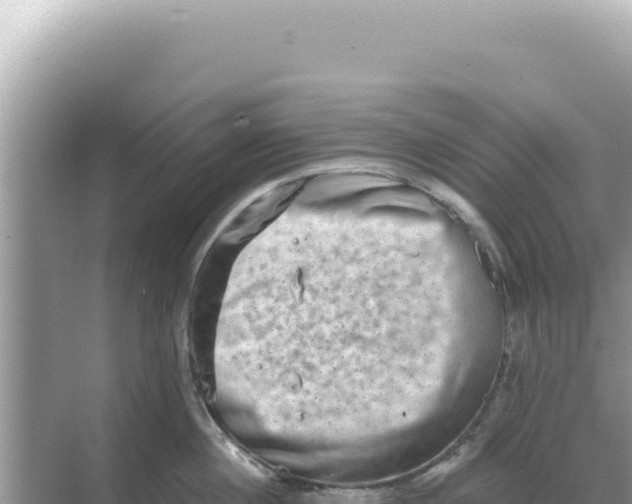 X0000068270860200605051813