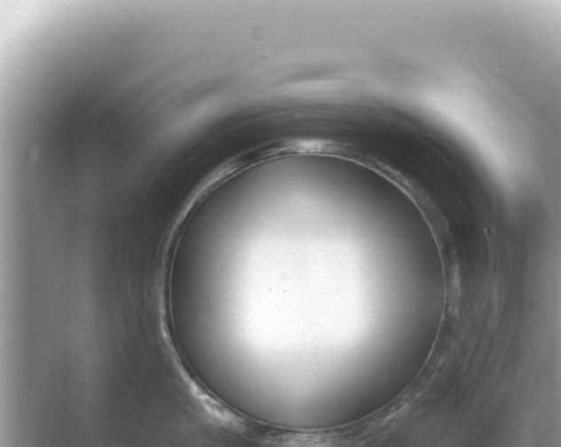 X0000068270861200605051813