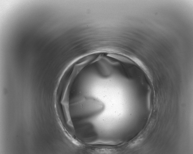 X0000068270862200605051813