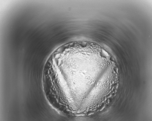 X0000068270863200605051813