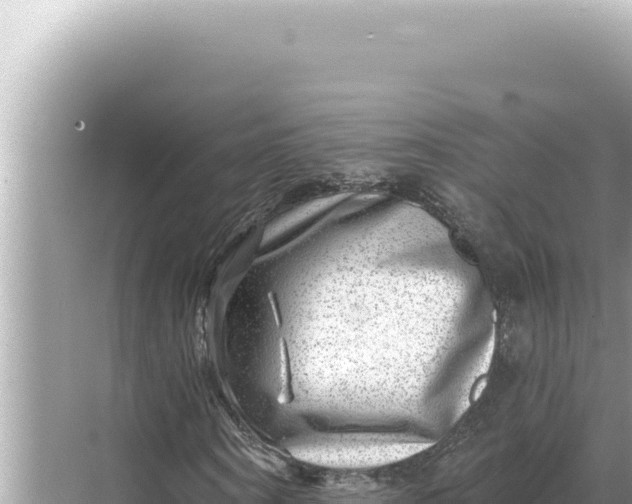 X0000068270866200605051812