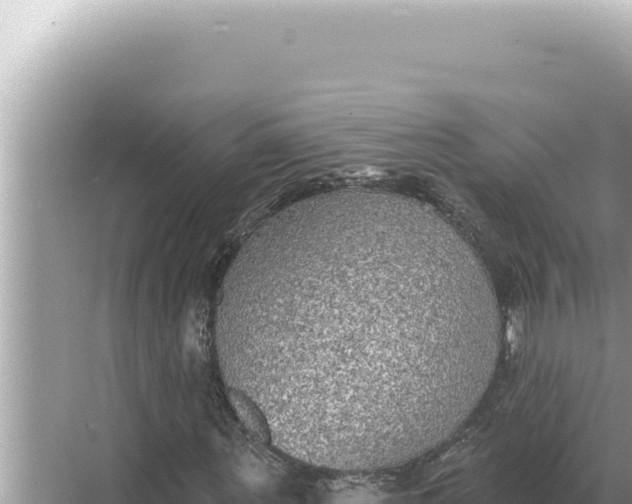 X0000068270867200605051812