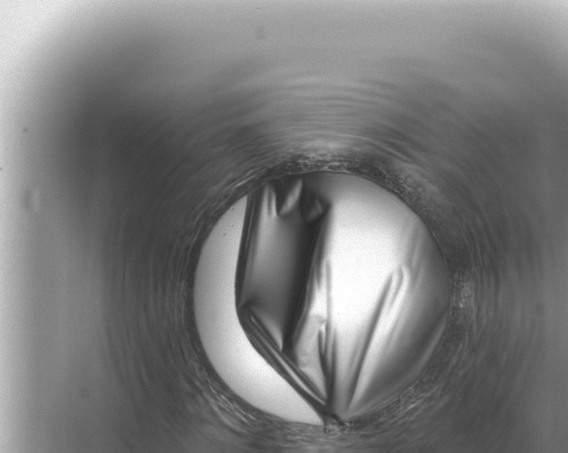 X0000068270868200605051812