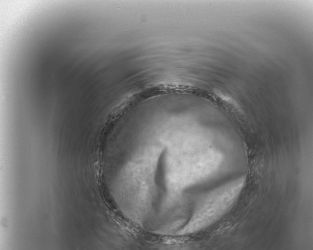 X0000068270870200605051812