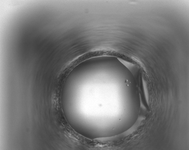 X0000068270872200605051812