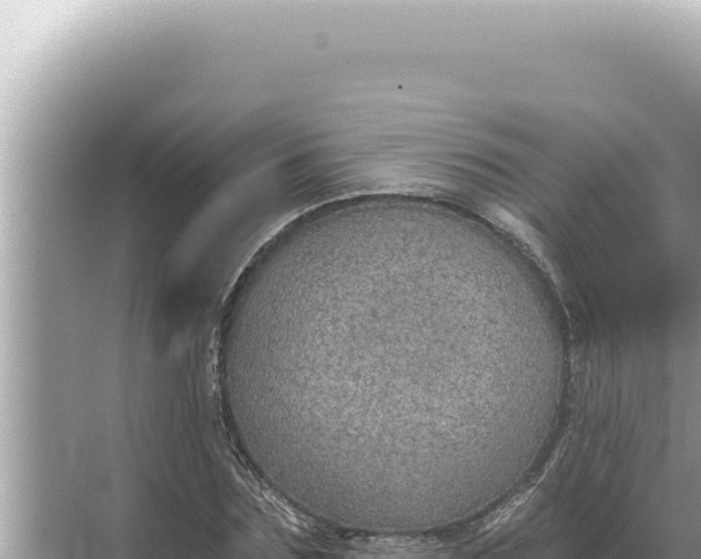 X0000068270875200605051812